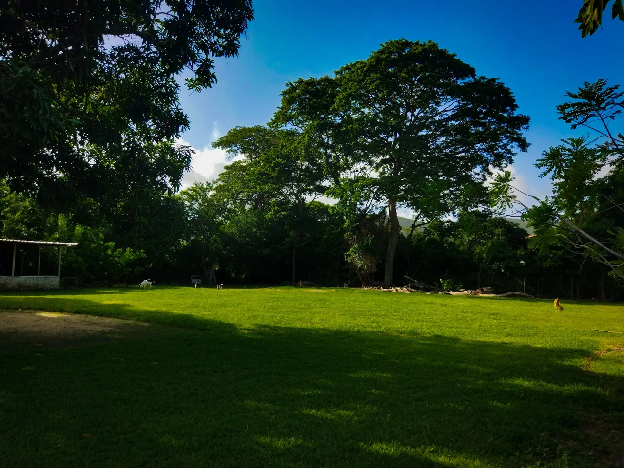IMG_20210916_160255 (1).jpg