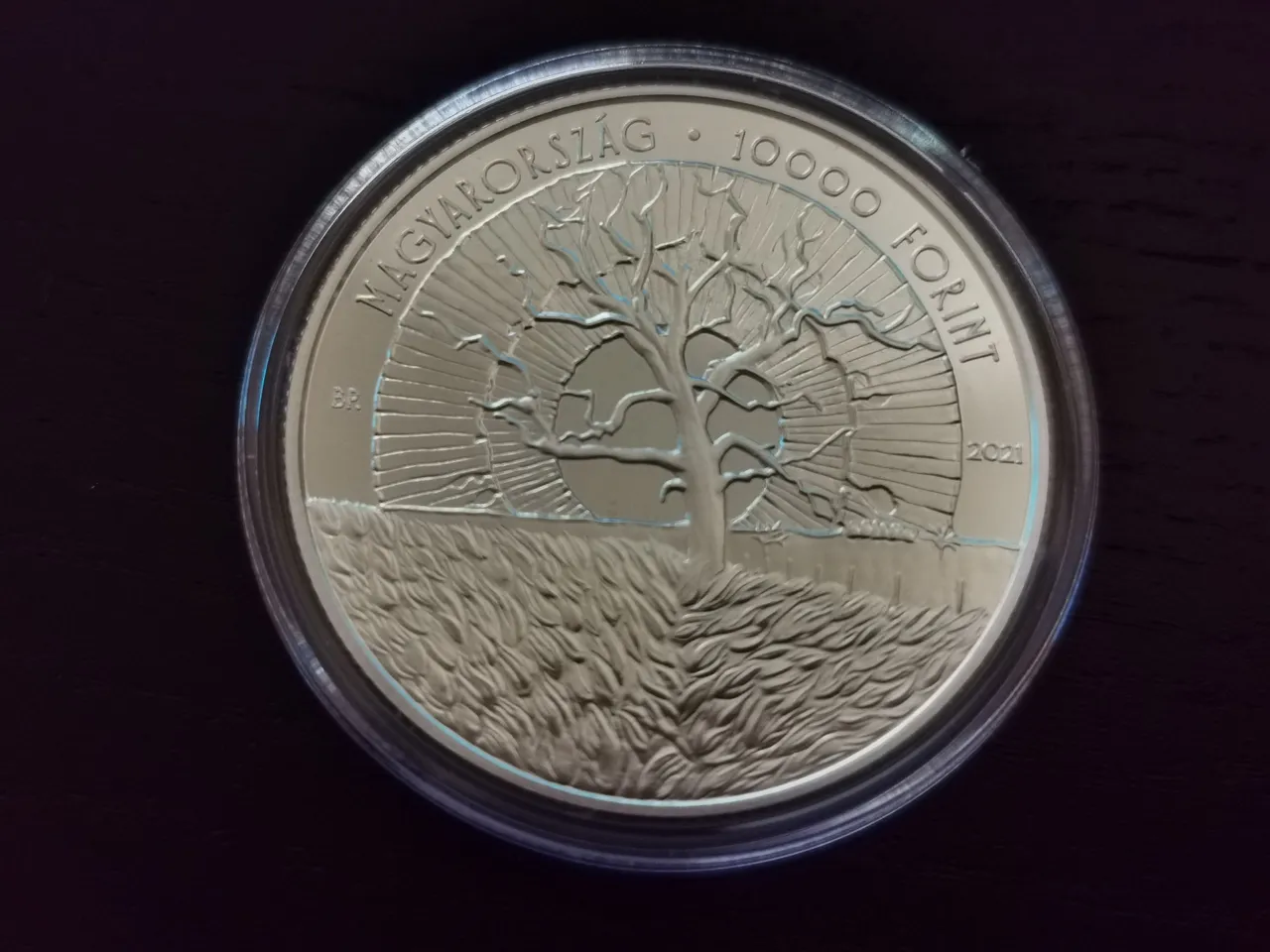 Jan 2022 - First Silver Coin - Pilinszky Janos (27).jpg