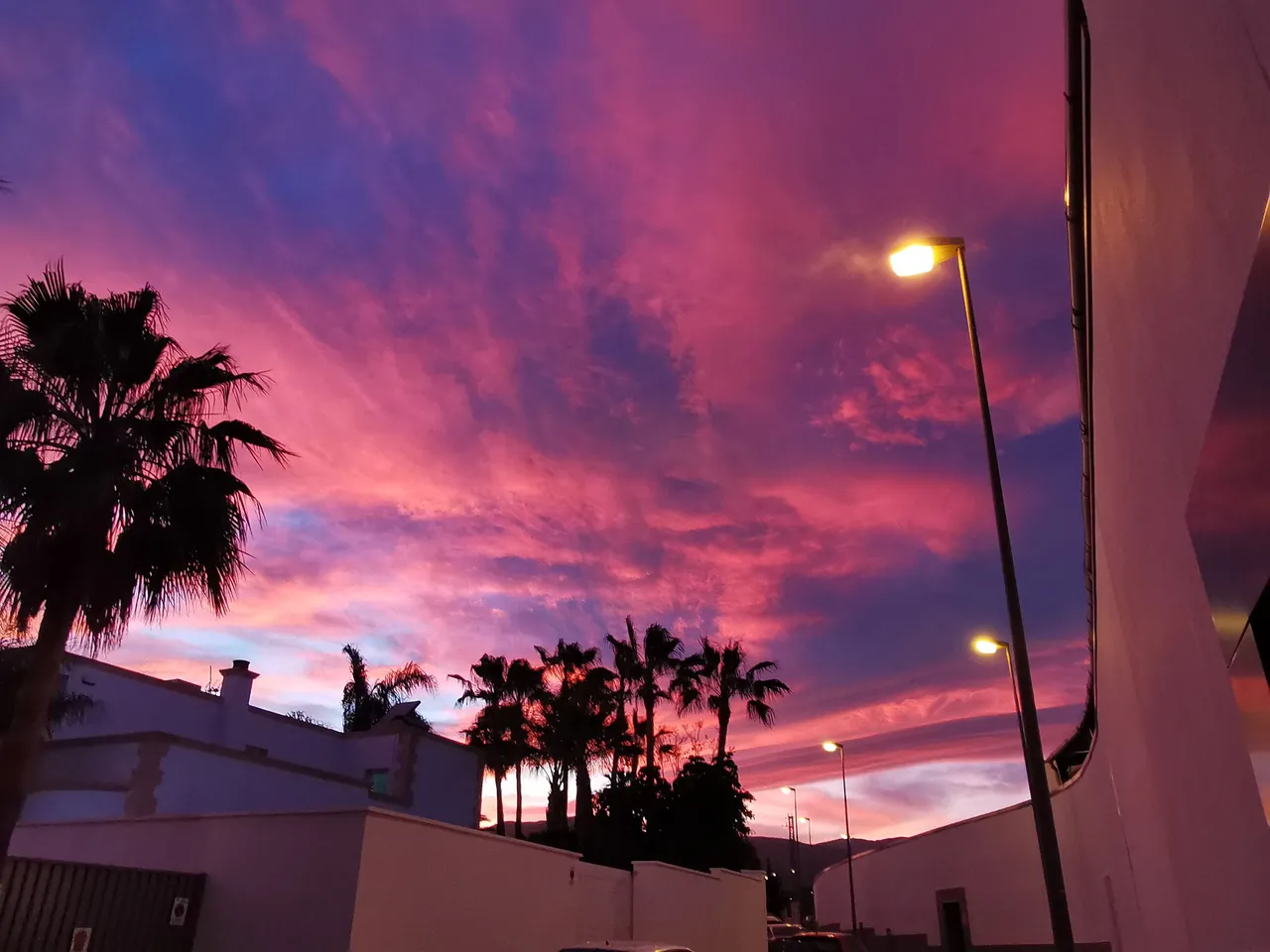 pink sky.jpg
