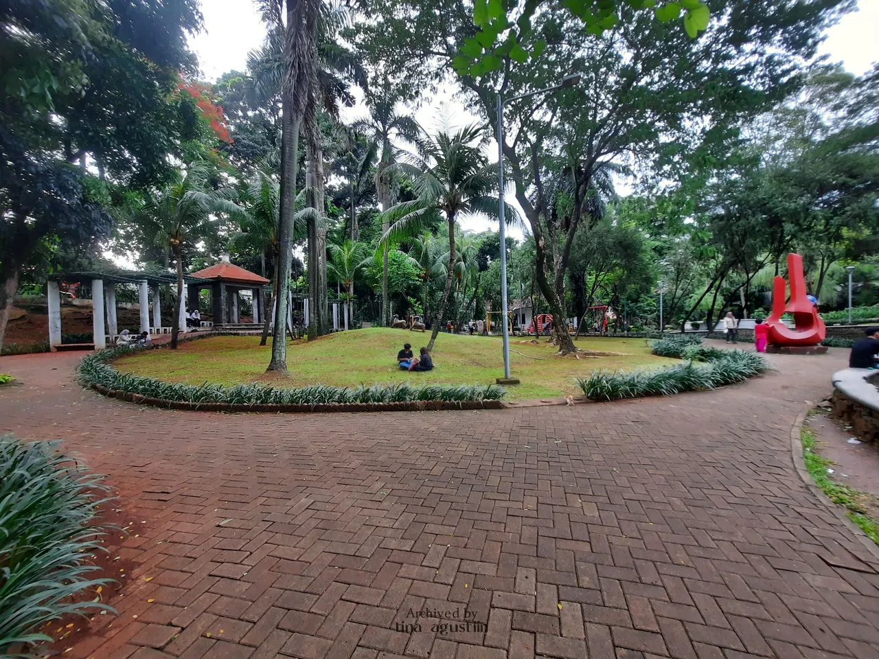 20241221_172604.jpg