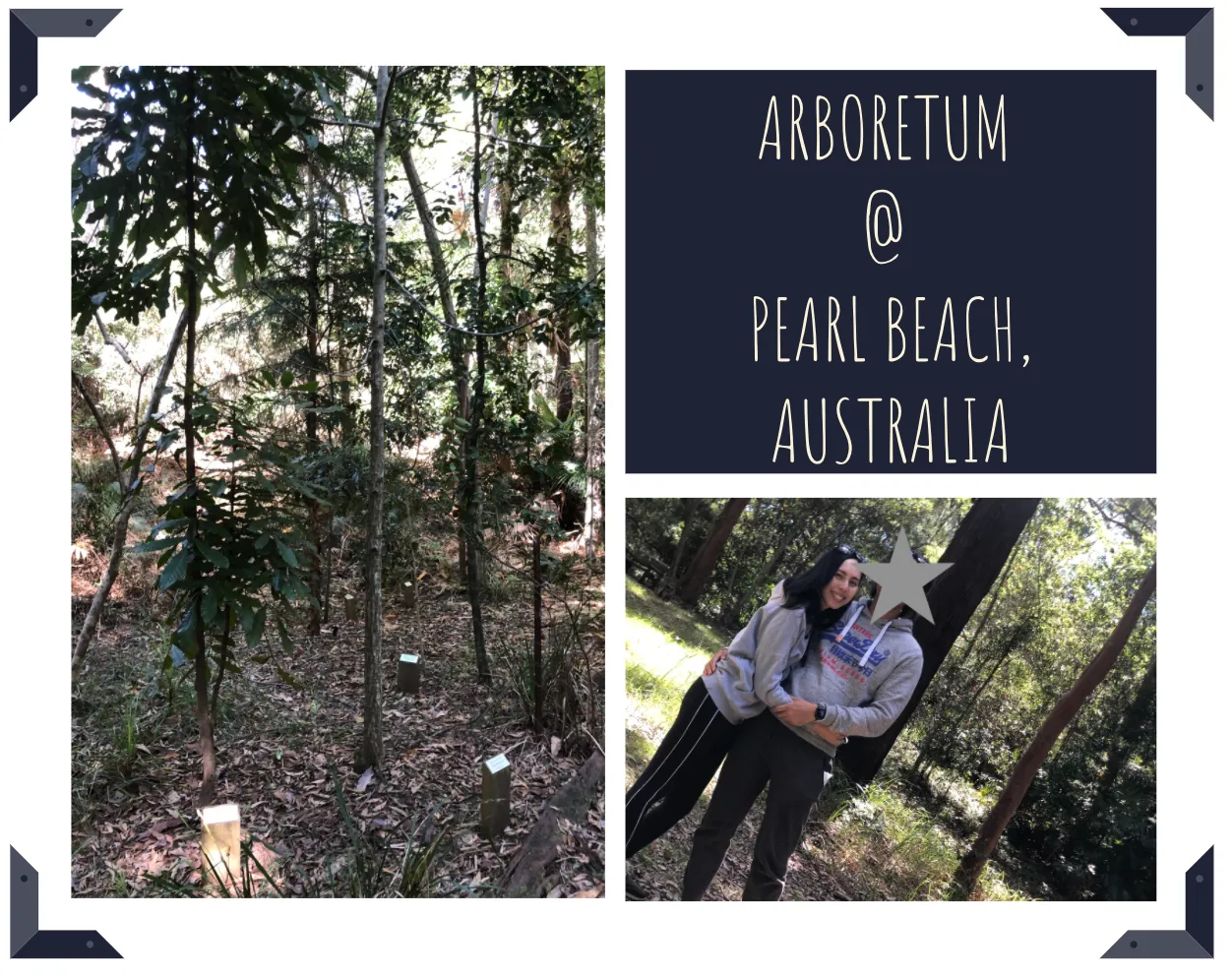 arboretum @ pearl beach.png