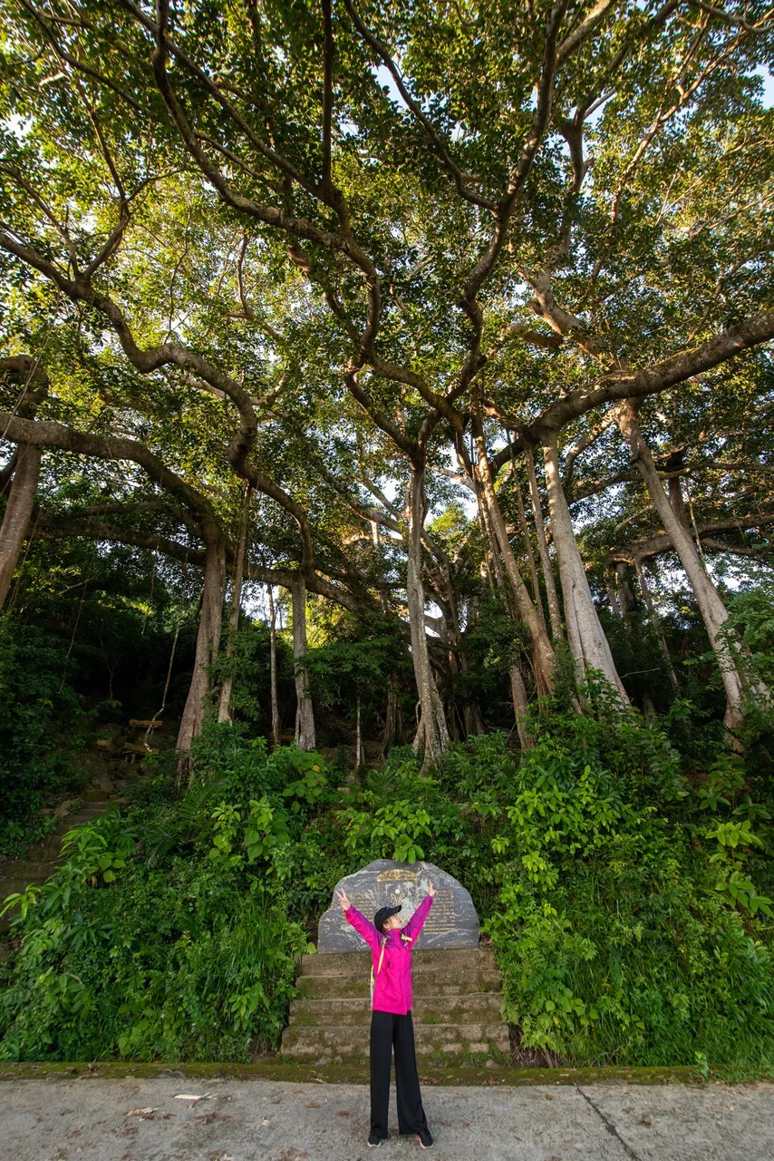 DSC_2605.JPG