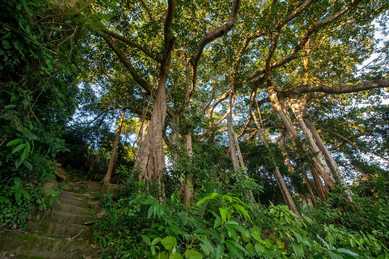 DSC_2607.JPG