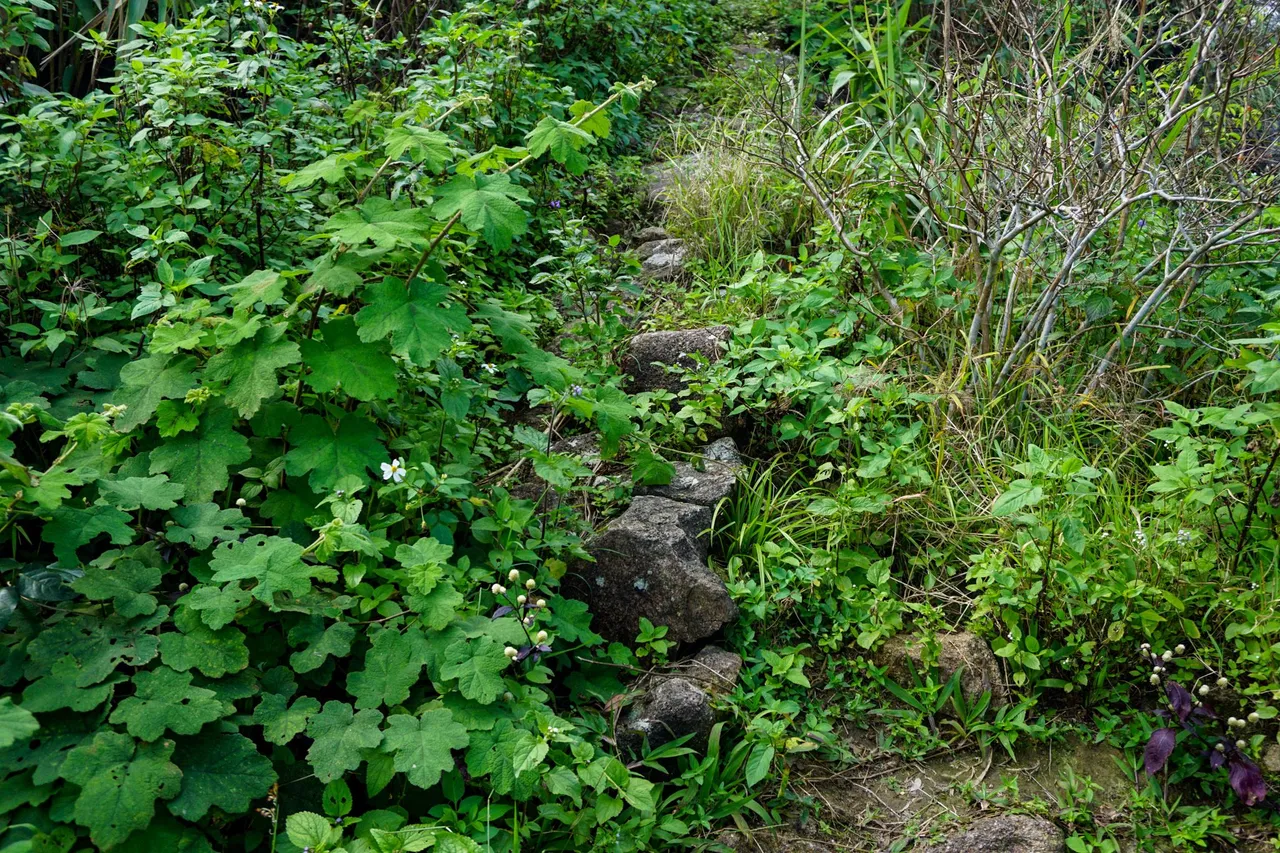 Hip_04 10.JPG