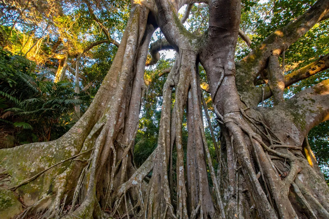 DSC_2613.JPG