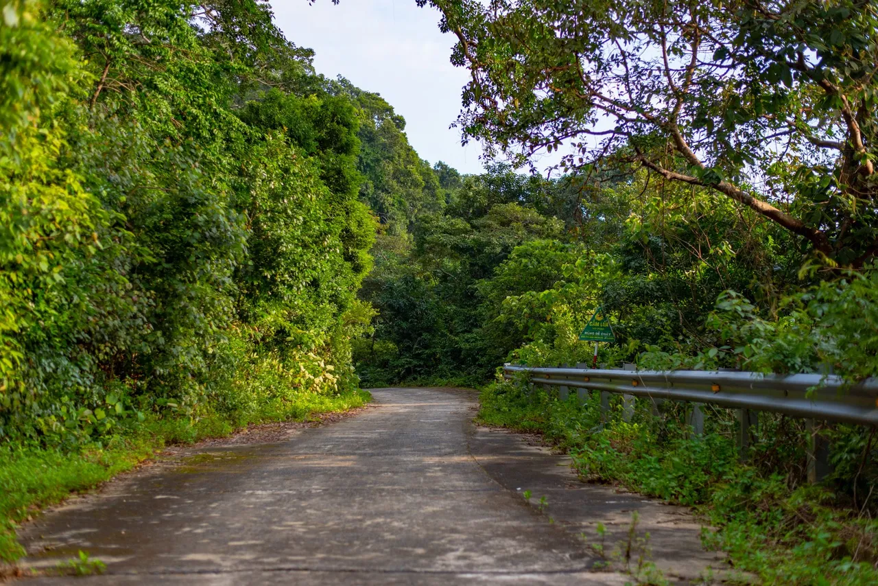 DSC_2577.JPG
