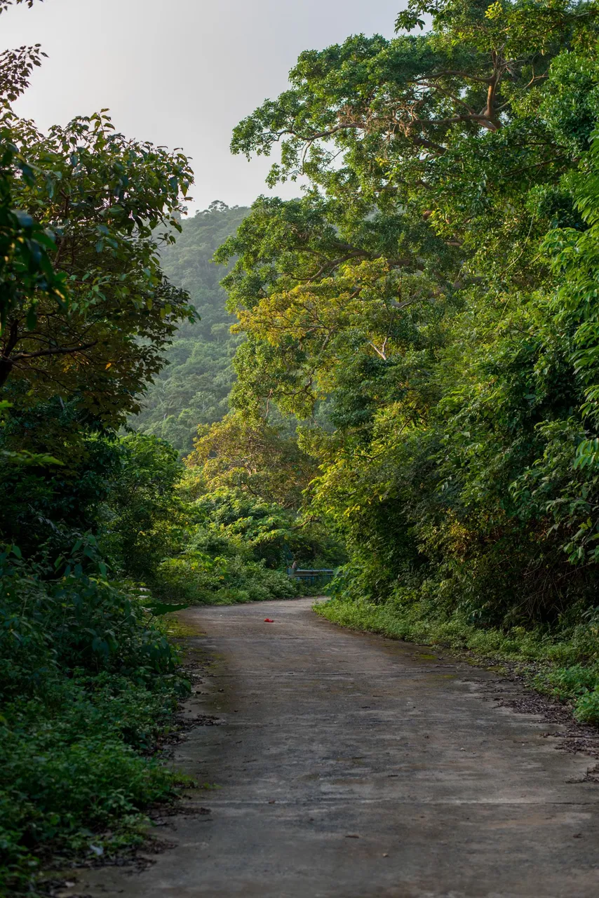 DSC_2709.JPG