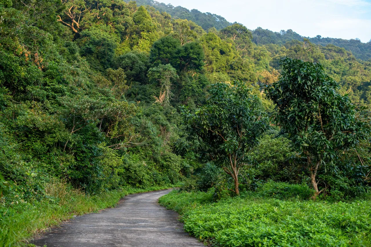 DSC_2712.JPG