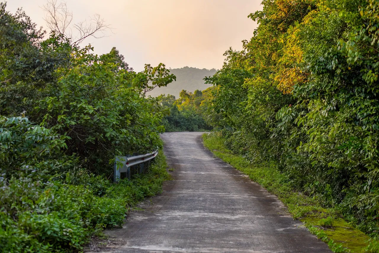 DSC_2696.JPG