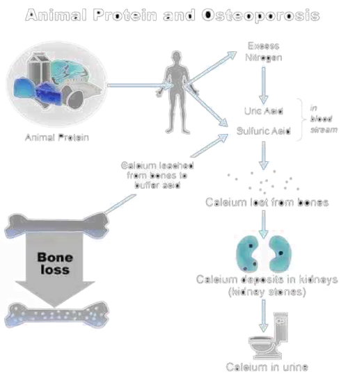 11416_546047302096575_1785739115_n.png