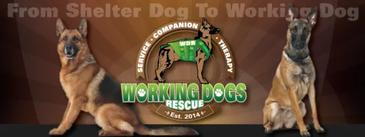 working dog rescue.png