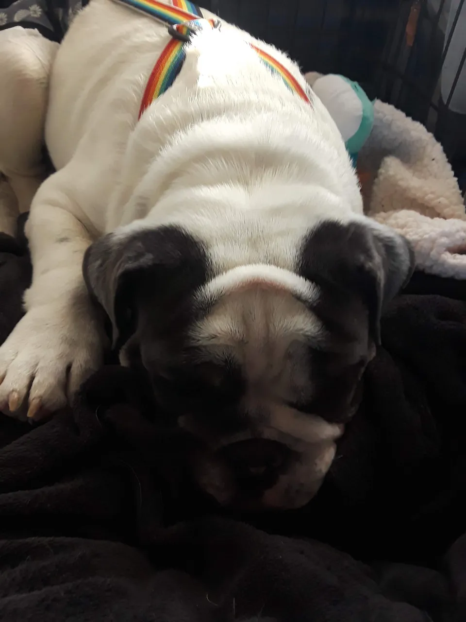 20220123_094409 - Copy.jpg