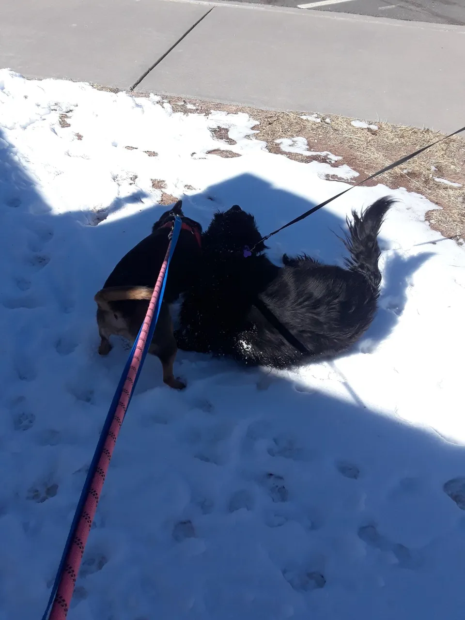 20220226_120108.jpg