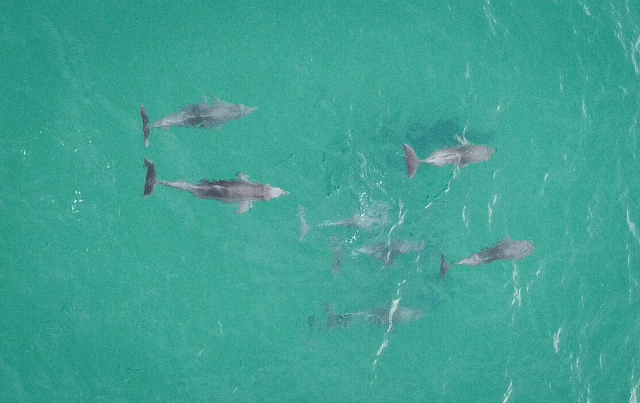 DJI_0346.jpg