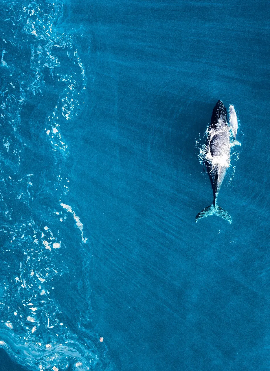 dji_fly_20230729_125448_439_1690755799673_photo_optimized (2).jpg