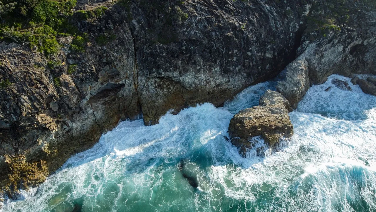 DJI_0313.jpg