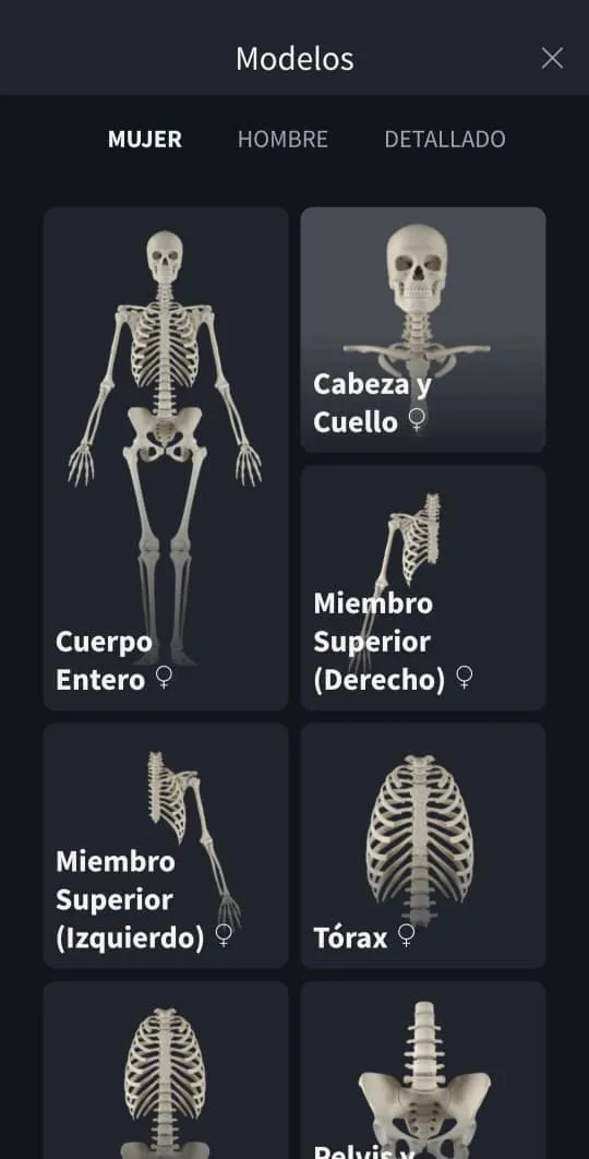 Imagen de WhatsApp 2023-07-01 a las 11.25.09.jpg