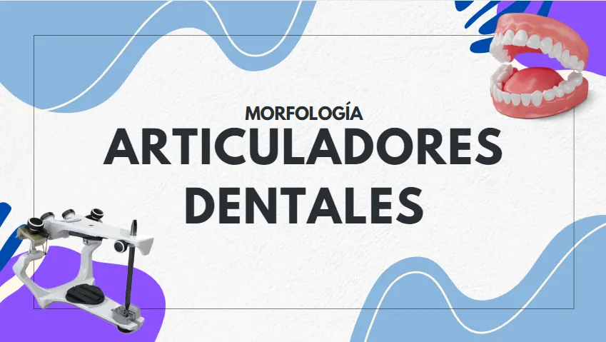 Captura de pantalla 2024-05-08 225505.png