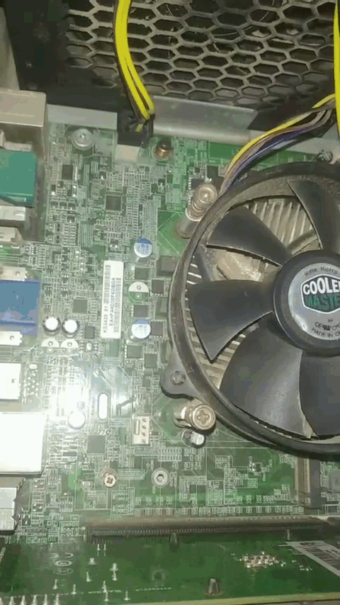 1.gif