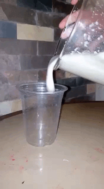 document_4972225145419596418.gif