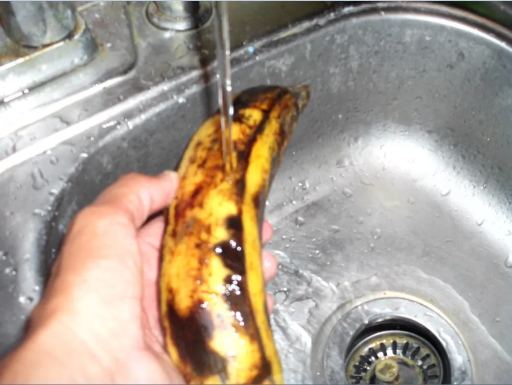 platano 3.jpg