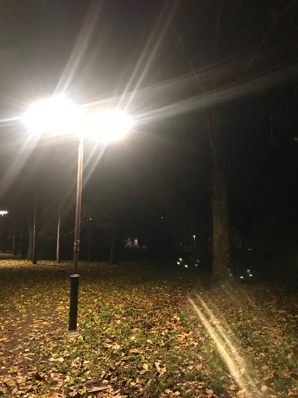 35C35FCF-C04C-47B9-BFF6-08BB0EEF5575.jpeg