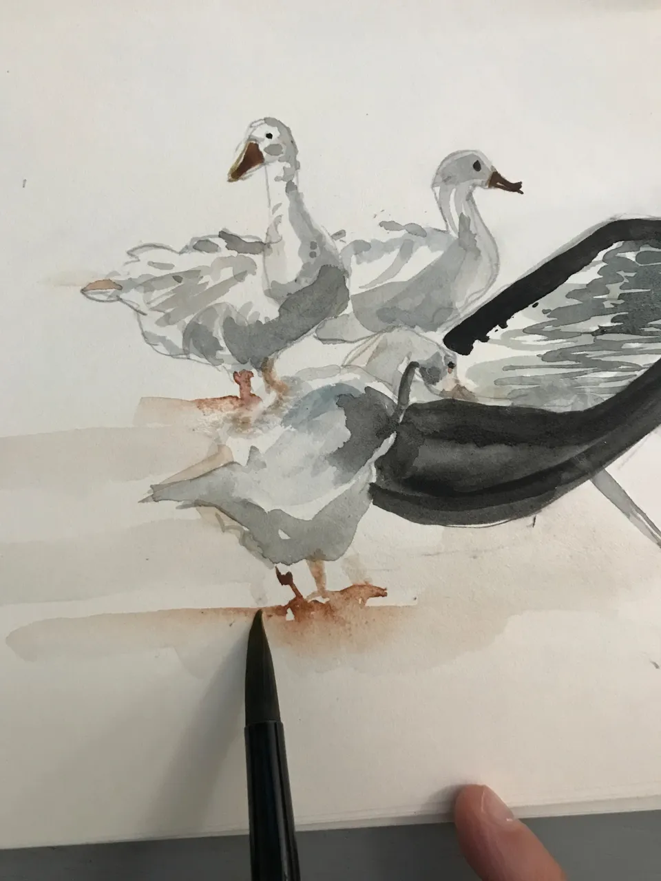 0609FB84-E14E-4075-BFEA-10220E26CA05.jpeg