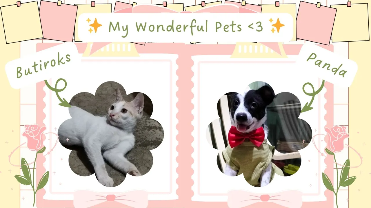 6 - My Wonderful Pets.jpg