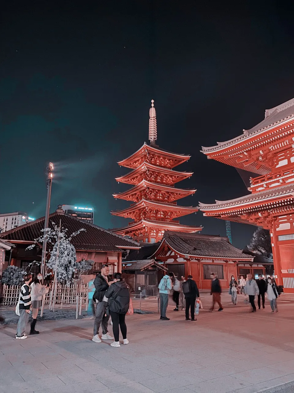 Closer look at the pagoda