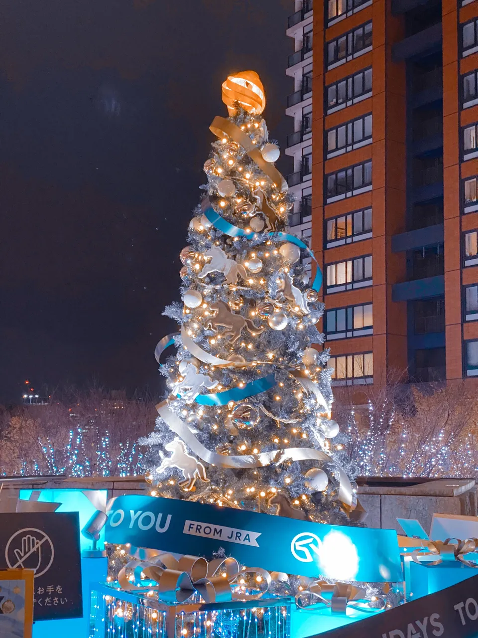 Not so tall Christmas Tree you will see when you fall in line to take a photo in the footbridge