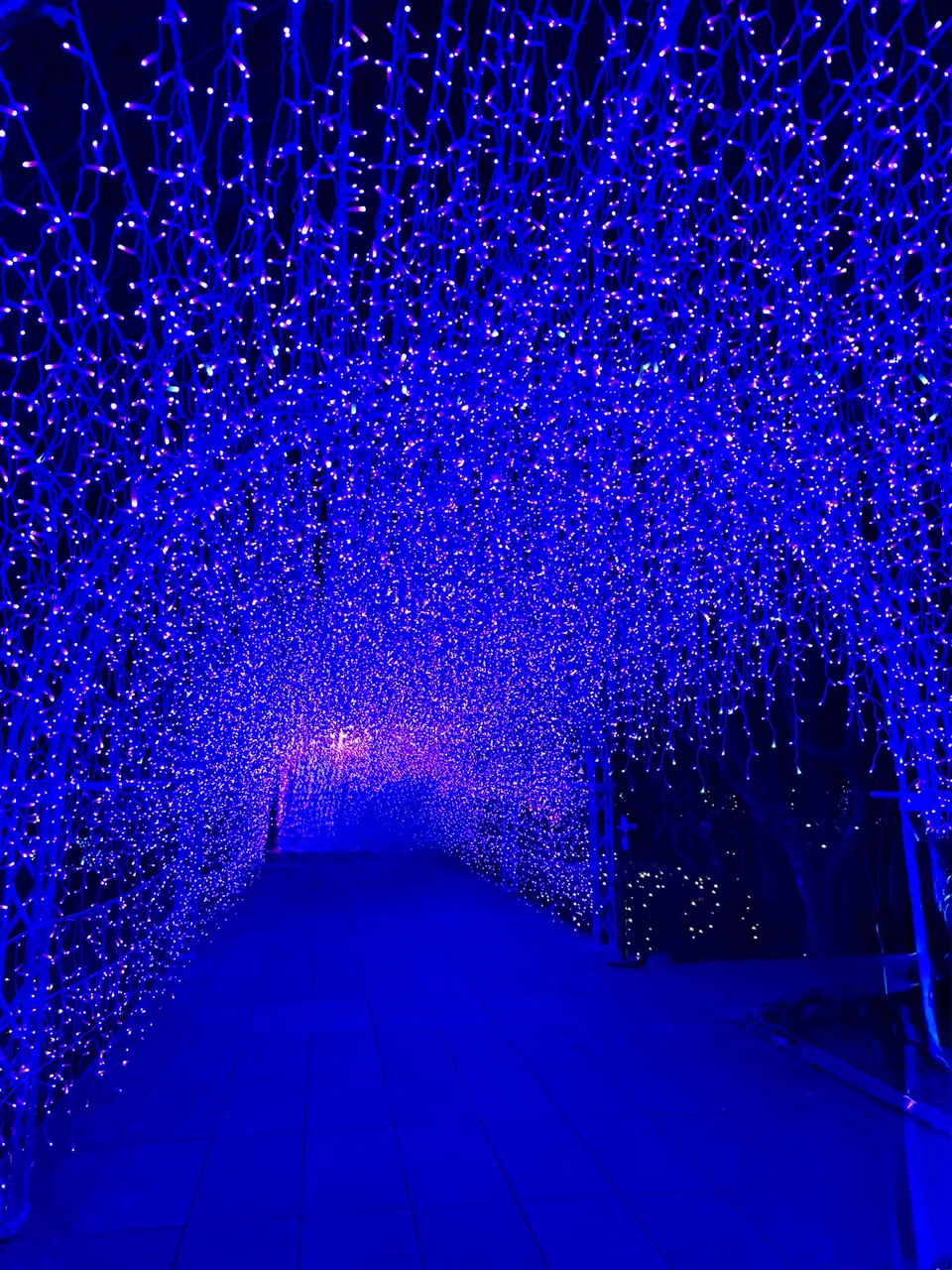 the pathway