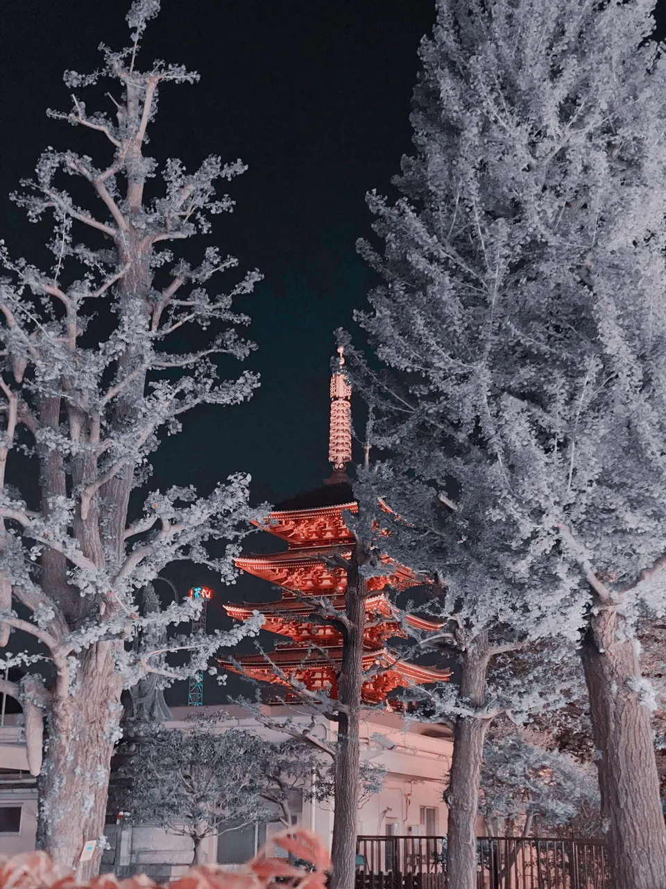 Behind the trees, the pagoda is such an attention grabber