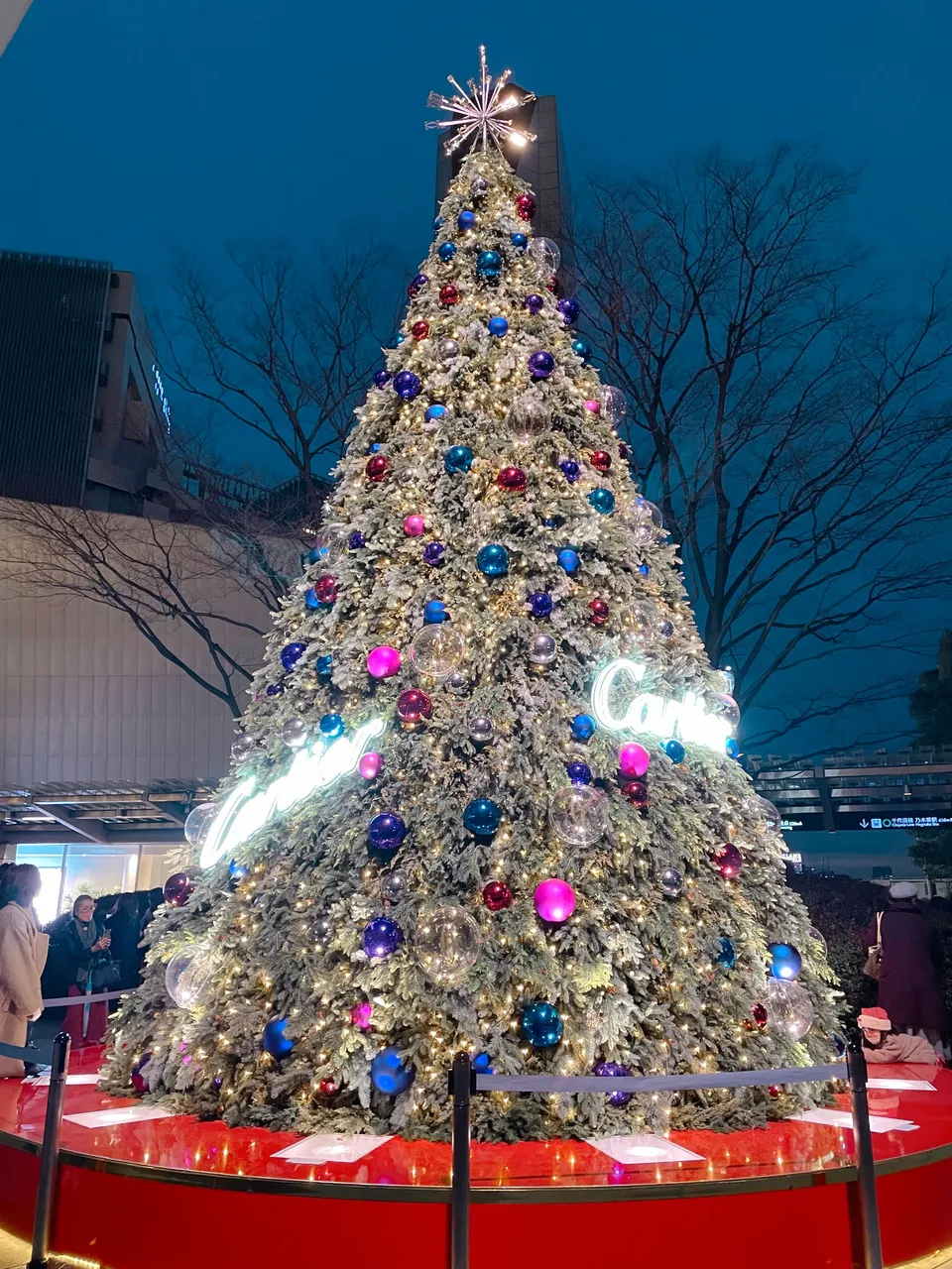 Cartier sponsored Christmas Tree outside