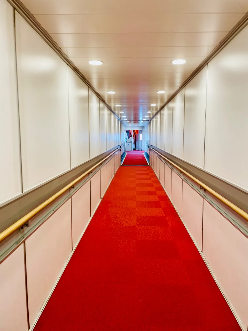 Red carpet to the plane