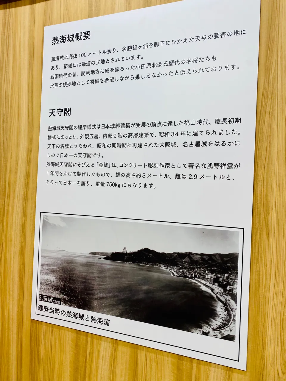 About Atami Castle