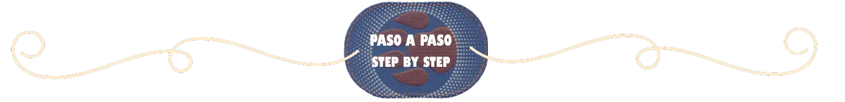 pasoapasbordadofigu.png