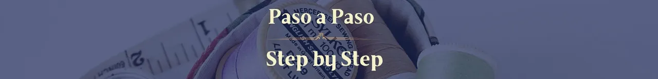 pasoapaso.jpg