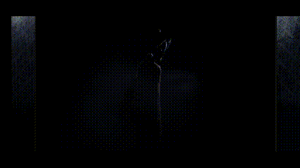 lv_0_20250318091616.gif