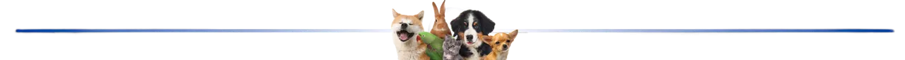 pets linea.png