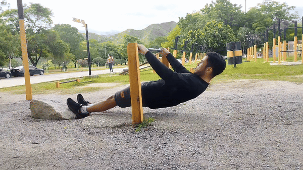 1.gif