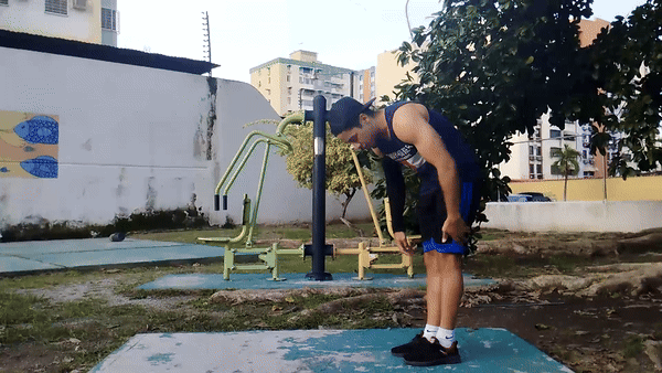 1.gif