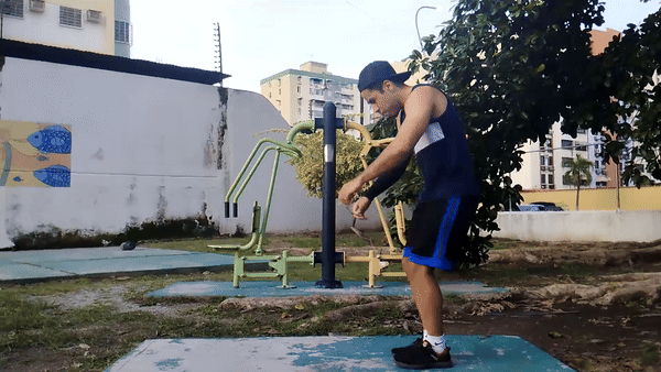 6.gif