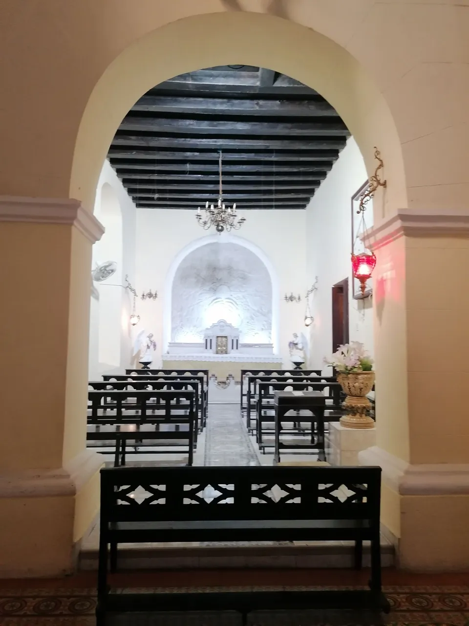 IMG_20230118_112837.jpg