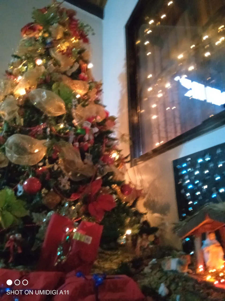 IMG_20221224_183133_378.jpg