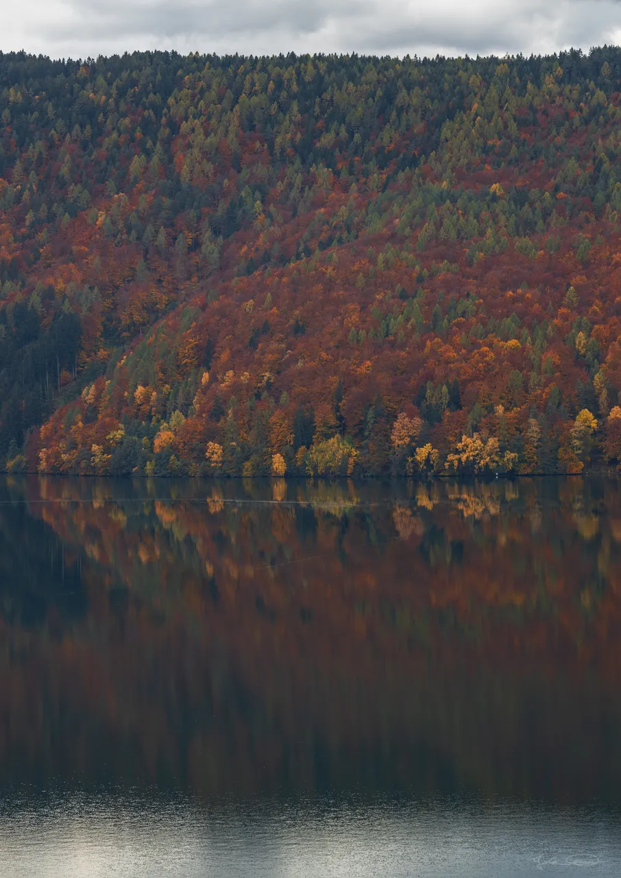 Colorful Forest at the Lake Millstatt