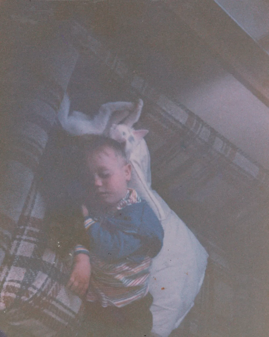 1987 apx - Joey, Kitten, Couch, Nap.png