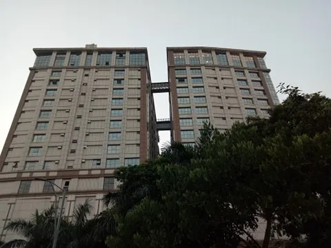 123815259_375859786962840_8269177287014775215_n.jpg