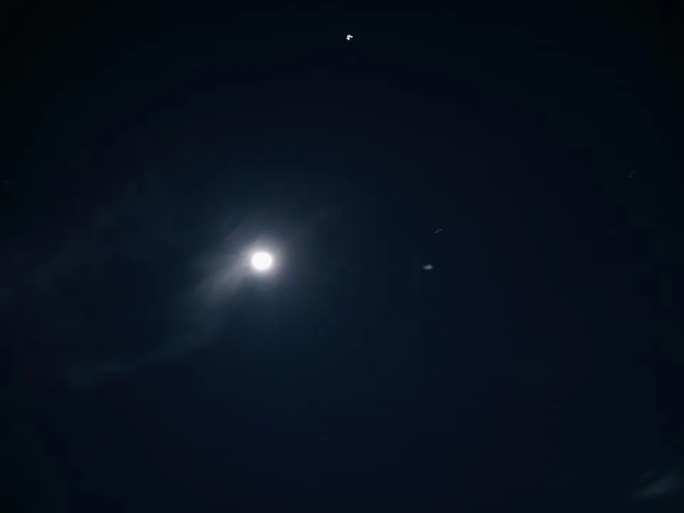 258884378_441946634274983_1855976205866684153_n.jpg