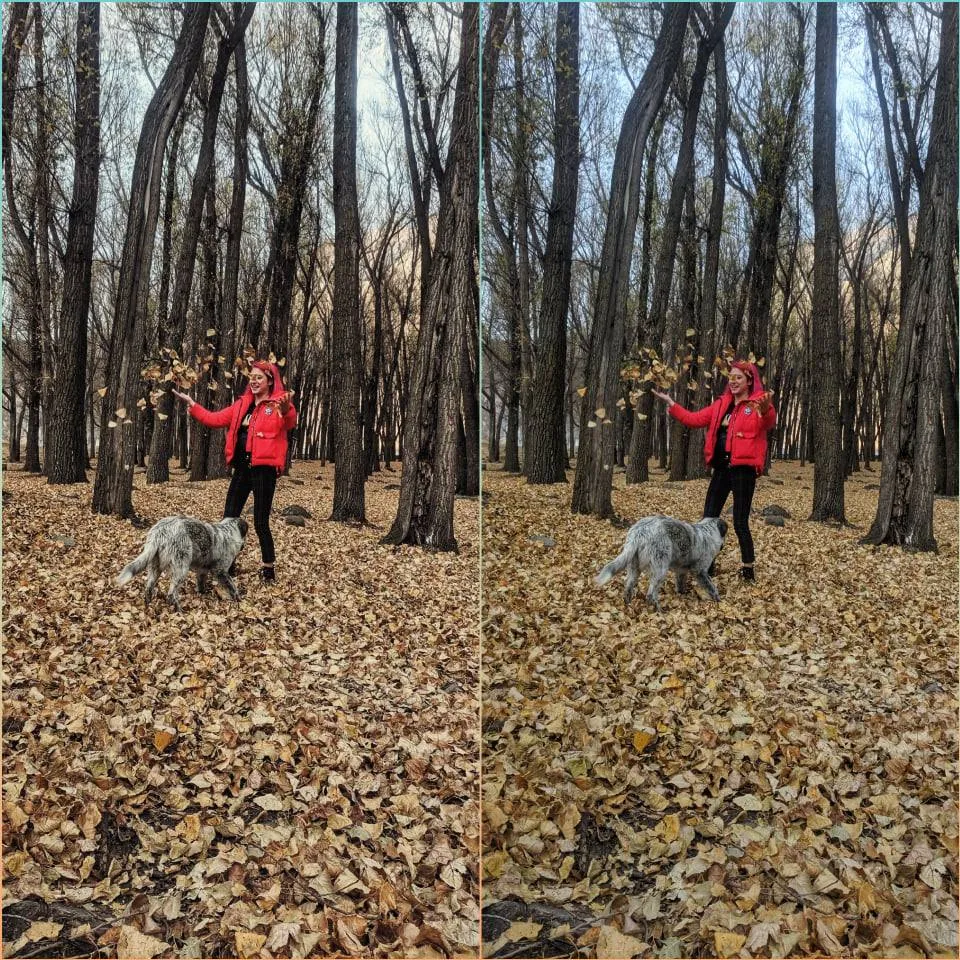 123647486_588246368572258_5636773886076685184_n.jpg