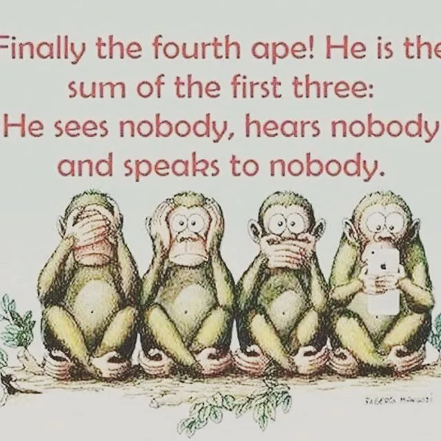 26869558_179154049366933_3737102948929372160_n.jpg